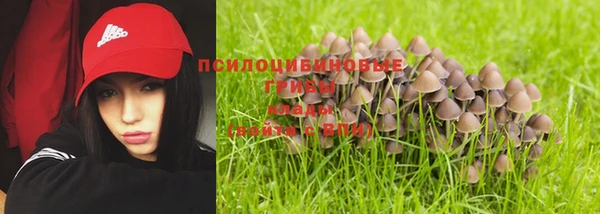 мет Приозерск